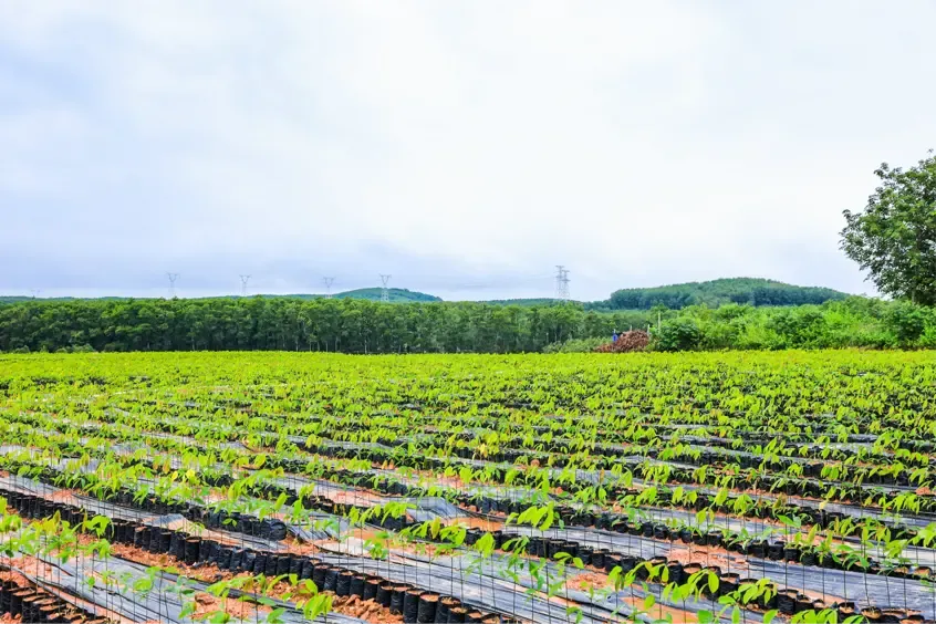 1732497110142002703.jpg 1732497110142002703.jpg