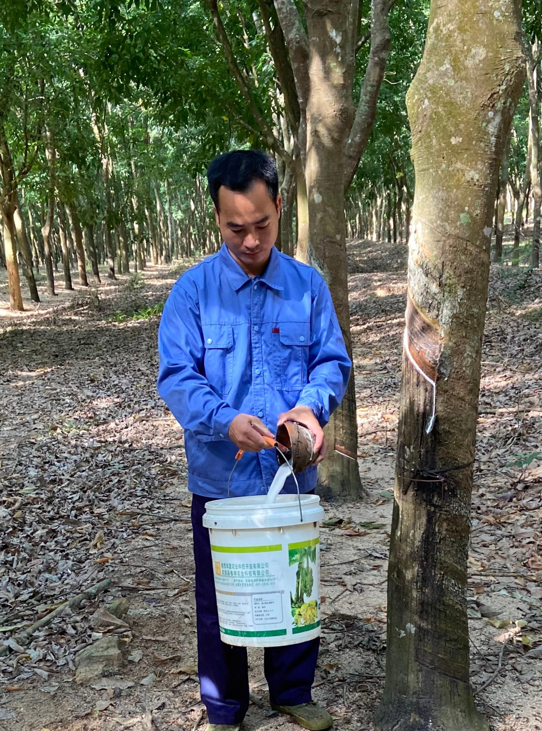 1747615569000075854.jpg 1747615569000075854.jpg