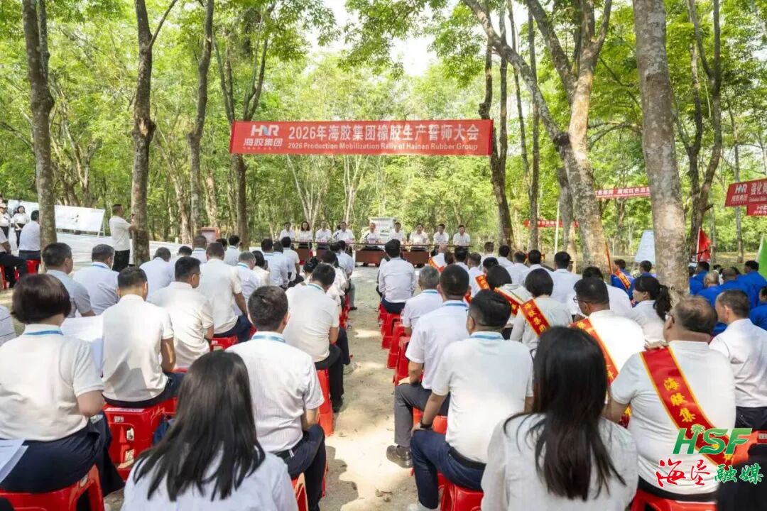 開割！膠林深處春潮涌